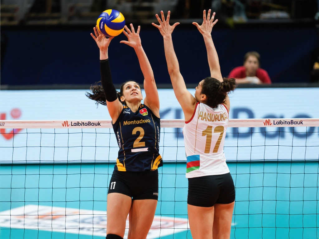 為逆轉的關 為逆轉的關