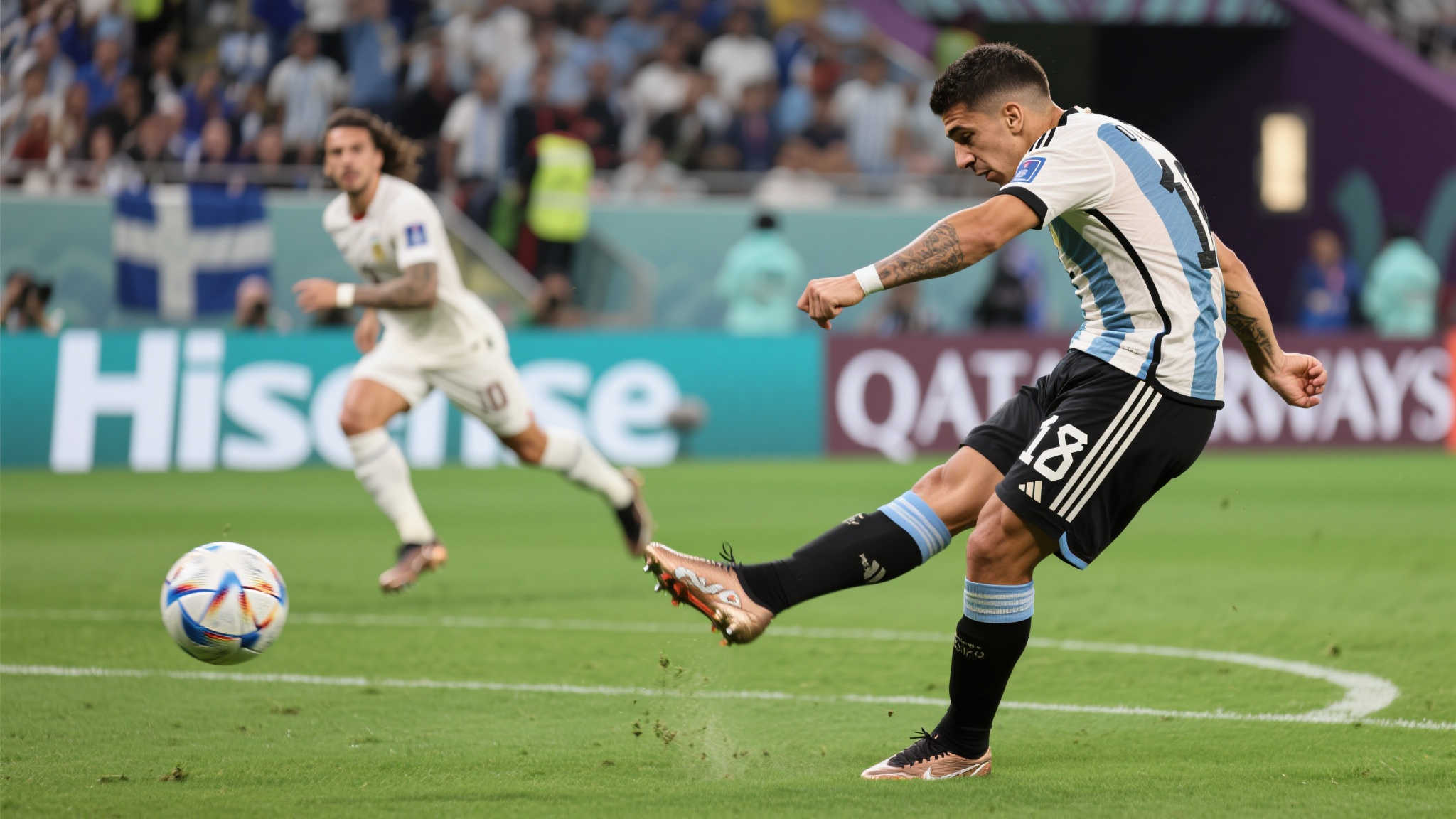 他不仅能为 他不仅能为